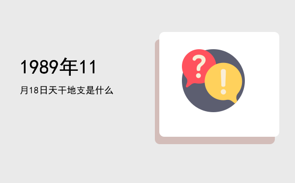 1989年11月18日天干地支是什么