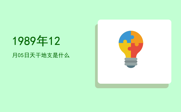 1989年12月05日天干地支是什么