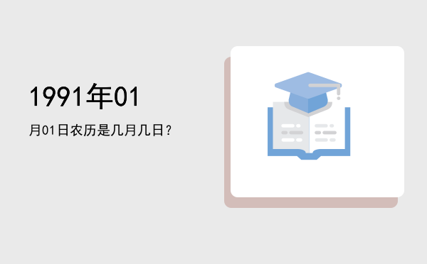 1991年01月01日农历是几月几日?