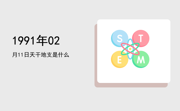 1991年02月11日天干地支是什么