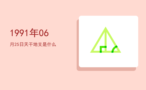 1991年06月25日天干地支是什么