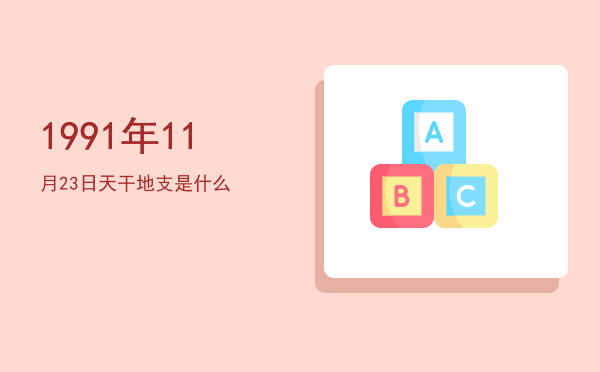 1991年11月23日天干地支是什么