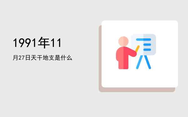 1991年11月27日天干地支是什么