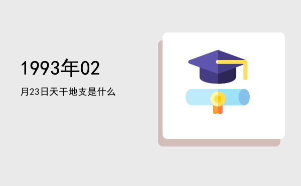 1993年02月23日天干地支是什么