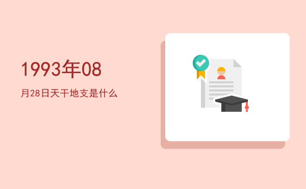 1993年08月28日天干地支是什么