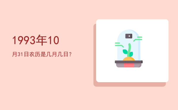1993年10月31日农历是几月几日?