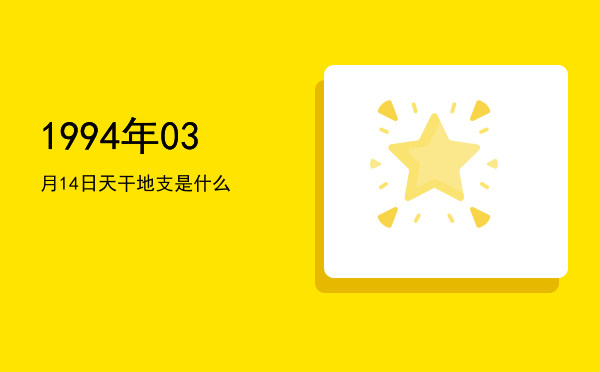 1994年03月14日天干地支是什么