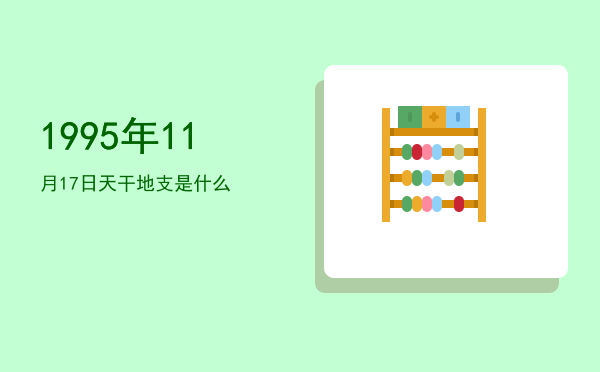 1995年11月17日天干地支是什么