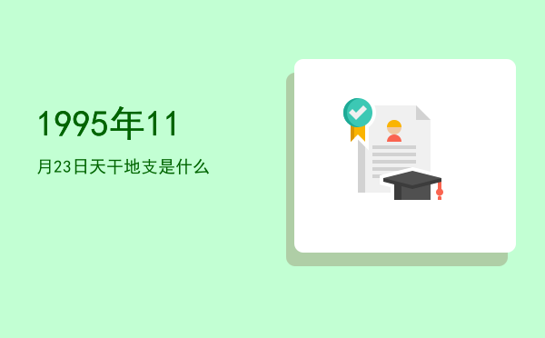 1995年11月23日天干地支是什么