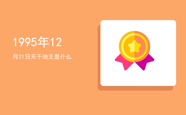 1995年12月21日天干地支是什么
