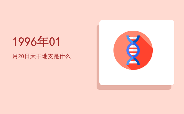 1996年01月20日天干地支是什么