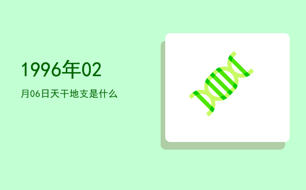 1996年02月06日天干地支是什么