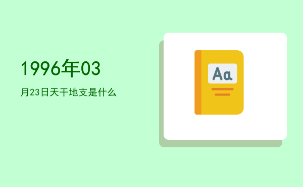 1996年03月23日天干地支是什么