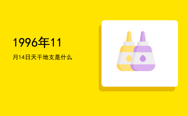 1996年11月14日天干地支是什么