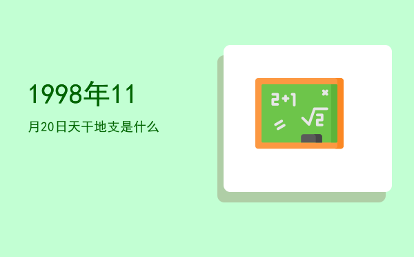 1998年11月20日天干地支是什么