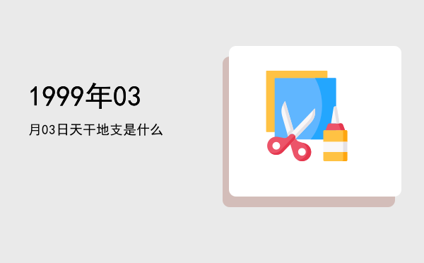 1999年03月03日天干地支是什么