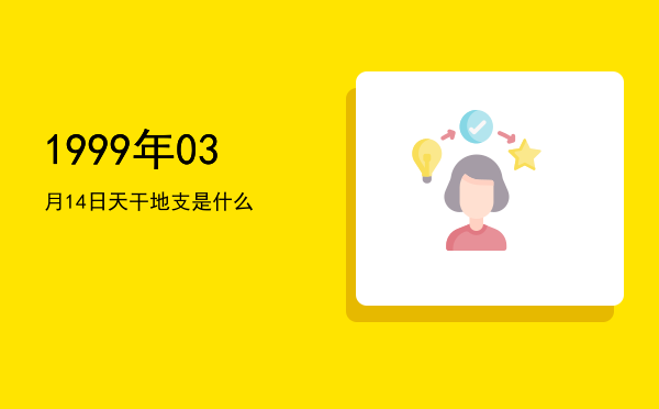 1999年03月14日天干地支是什么