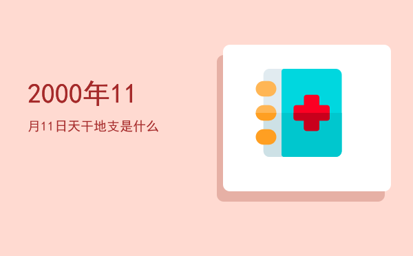 2000年11月11日天干地支是什么