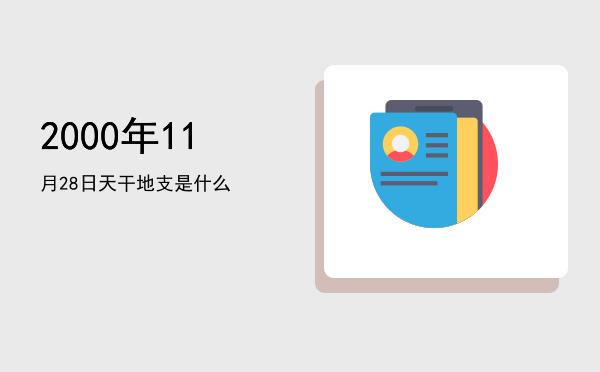2000年11月28日天干地支是什么