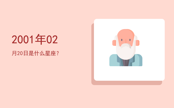 2001年02月20日是什么星座？