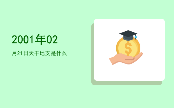 2001年02月21日天干地支是什么