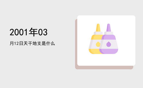 2001年03月12日天干地支是什么