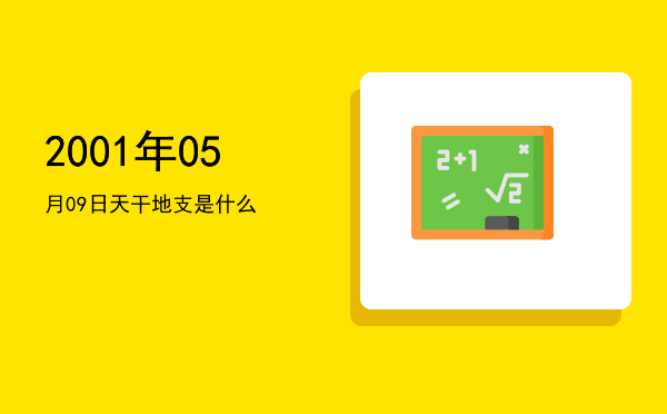 2001年05月09日天干地支是什么