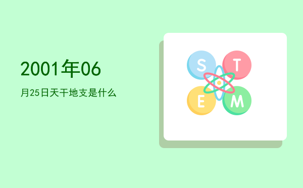2001年06月25日天干地支是什么