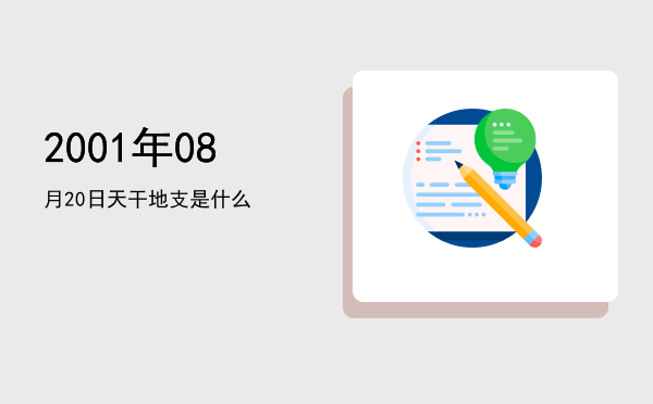 2001年08月20日天干地支是什么
