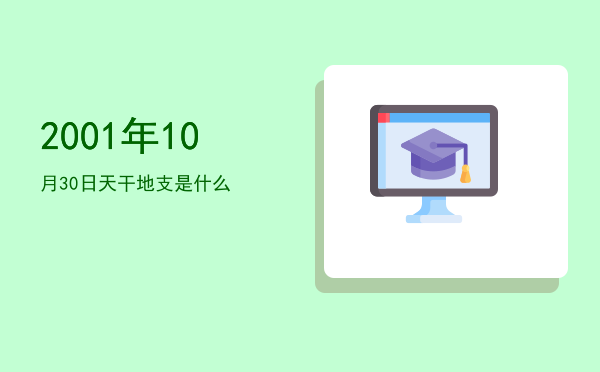 2001年10月30日天干地支是什么