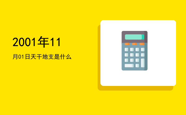 2001年11月01日天干地支是什么