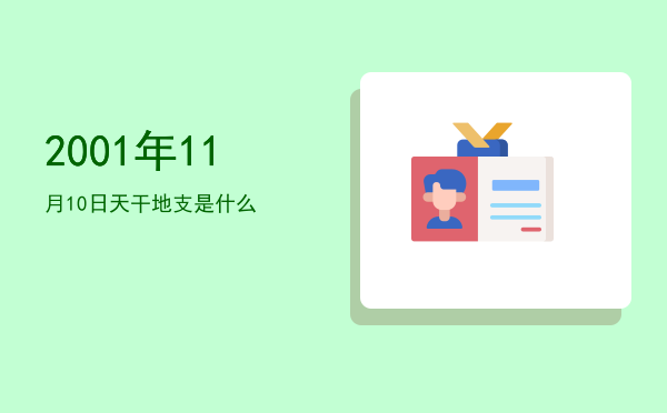 2001年11月10日天干地支是什么
