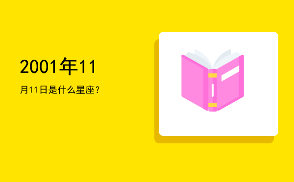 2001年11月11日是什么星座？