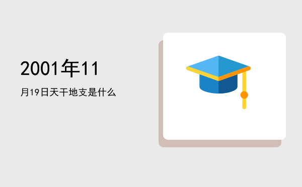 2001年11月19日天干地支是什么