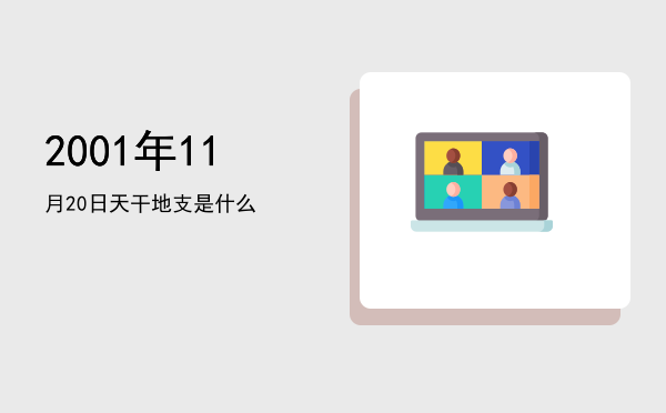 2001年11月20日天干地支是什么