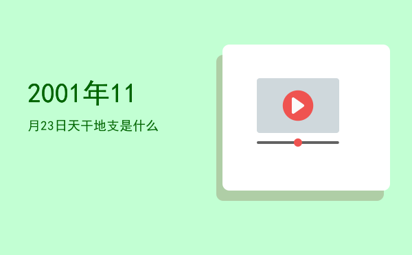 2001年11月23日天干地支是什么