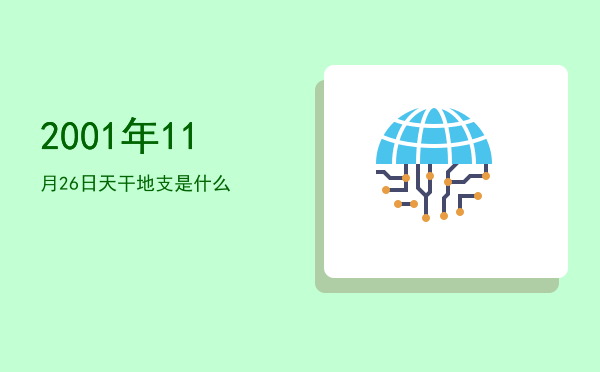 2001年11月26日天干地支是什么