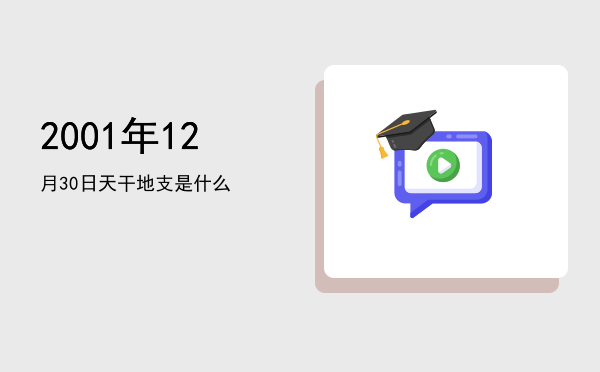 2001年12月30日天干地支是什么