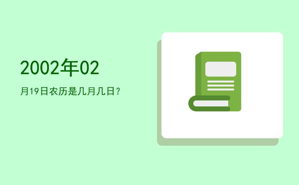 2002年02月19日农历是几月几日?