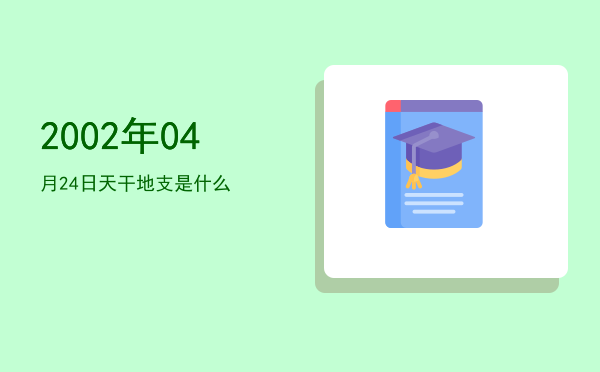 2002年04月24日天干地支是什么