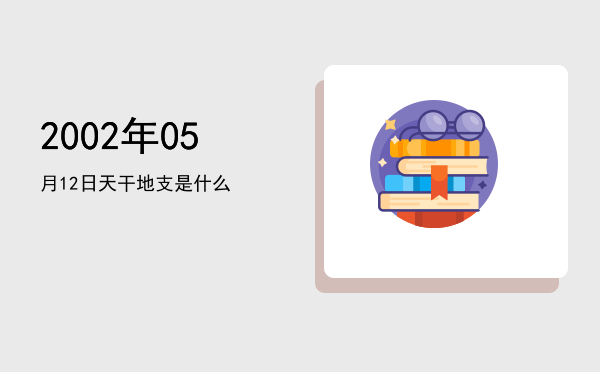 2002年05月12日天干地支是什么
