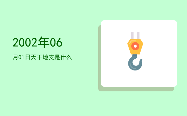 2002年06月01日天干地支是什么
