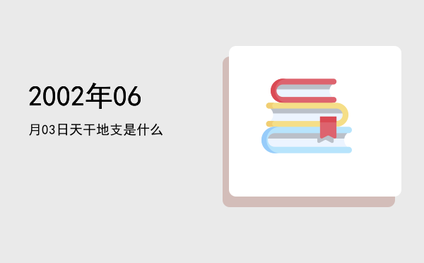 2002年06月03日天干地支是什么