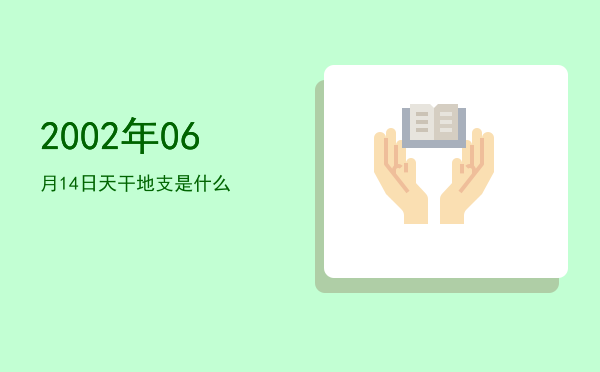 2002年06月14日天干地支是什么