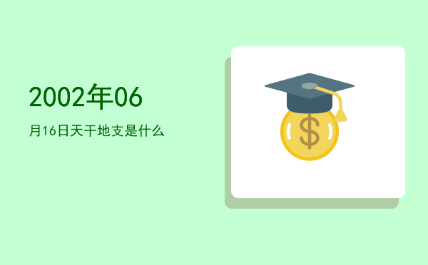 2002年06月16日天干地支是什么