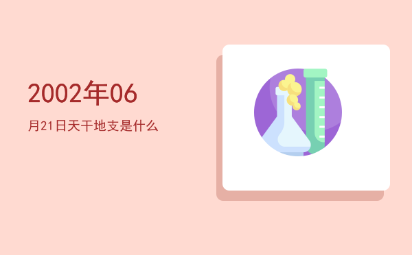 2002年06月21日天干地支是什么