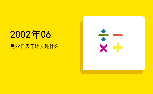 2002年06月29日天干地支是什么