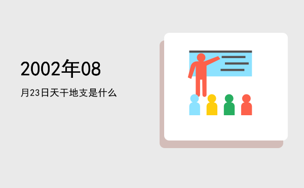 2002年08月23日天干地支是什么