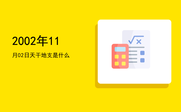 2002年11月02日天干地支是什么