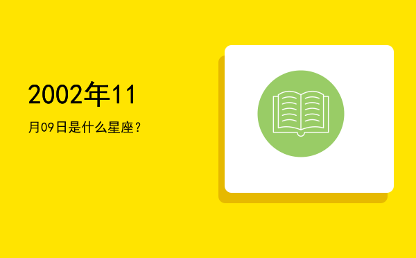 2002年11月09日是什么星座？